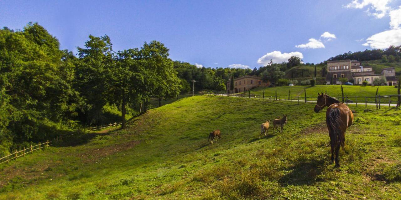Agriturismo Rio Coverino Borghetto  Bagian luar foto